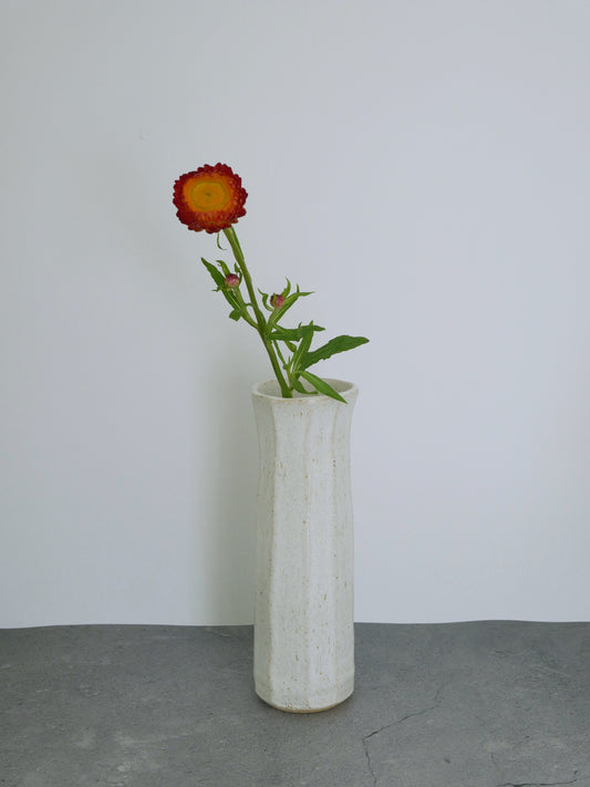 Shigaraki-ware Tall Vase